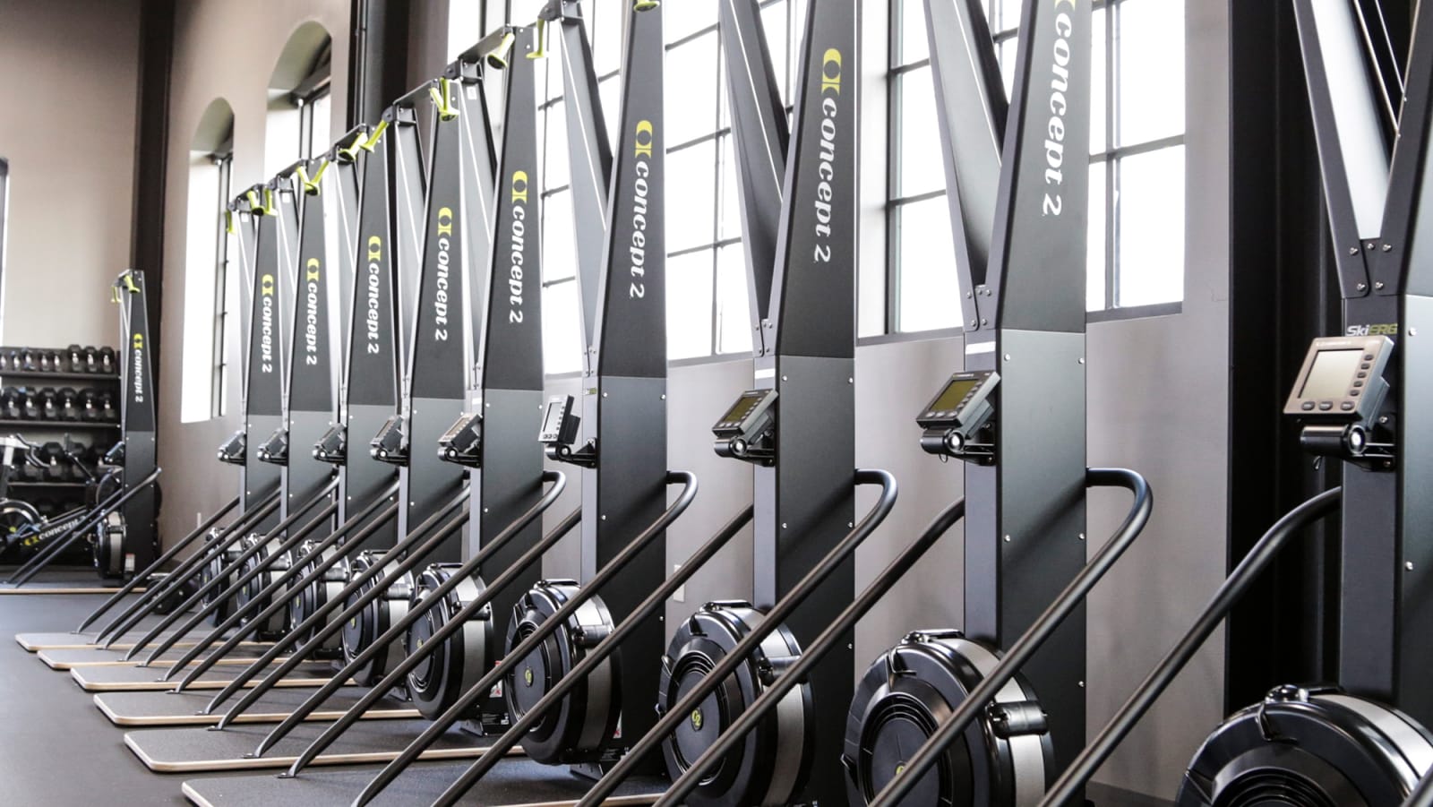Concept 2 SkiErg 10 Pack